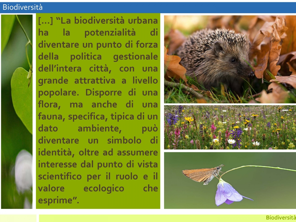 Biodiversità   