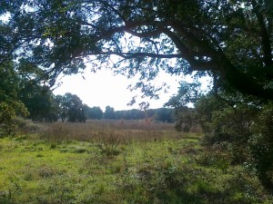 scorcio parco del Dragone               