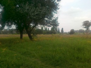 scorcio parco del Dragone                      