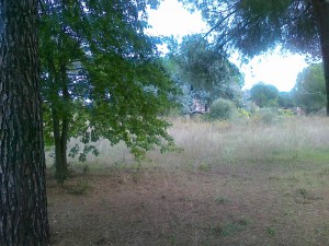 scorcio parco del Drgone          