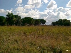 scorcio parco del Dragone          