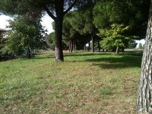 scorcio parco del Dragone                   